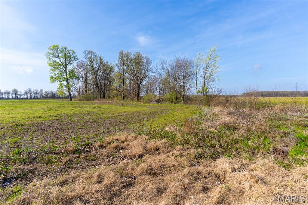 0 State Highway, Unit 5 East Prairie, MO 63845 - Photo 7 of 20