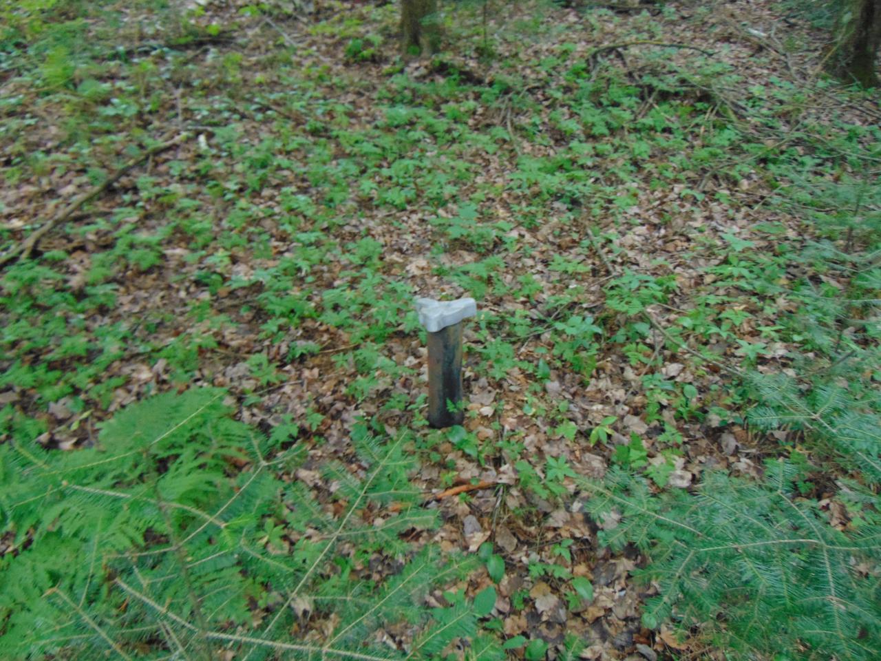 N9853 Birch Road Tomahawk, WI 54487 - Photo 11 of 12 Gallery Image 11