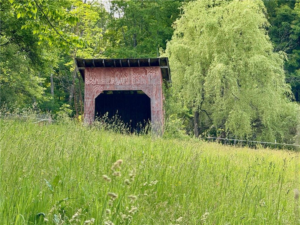 187 George Wade Road Guilford, NY 13780 - Photo 28 of 47 Horse Run In Shed