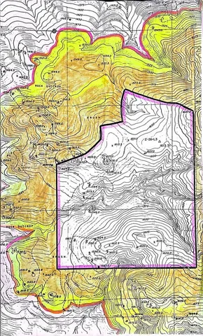 a view of a swimming pool