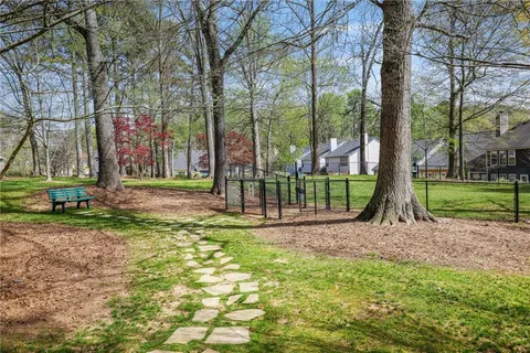 a view of a park with large trees