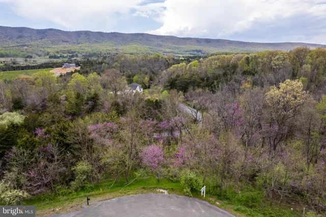 $145,000 | Lot #30 Waverly Drive, Strasburg, VA 22657