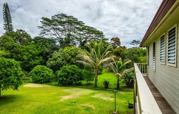 6280 Kalama Road Kapaa, HI 96746 - Photo 21 of 25 a view of yard from a balcony