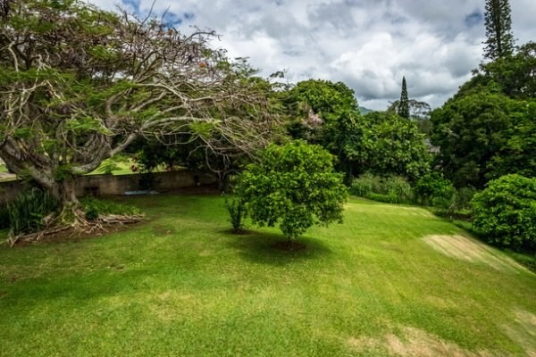 6280 Kalama Road Kapaa, HI 96746 - Photo 23 of 25 a view of a garden with a fountain