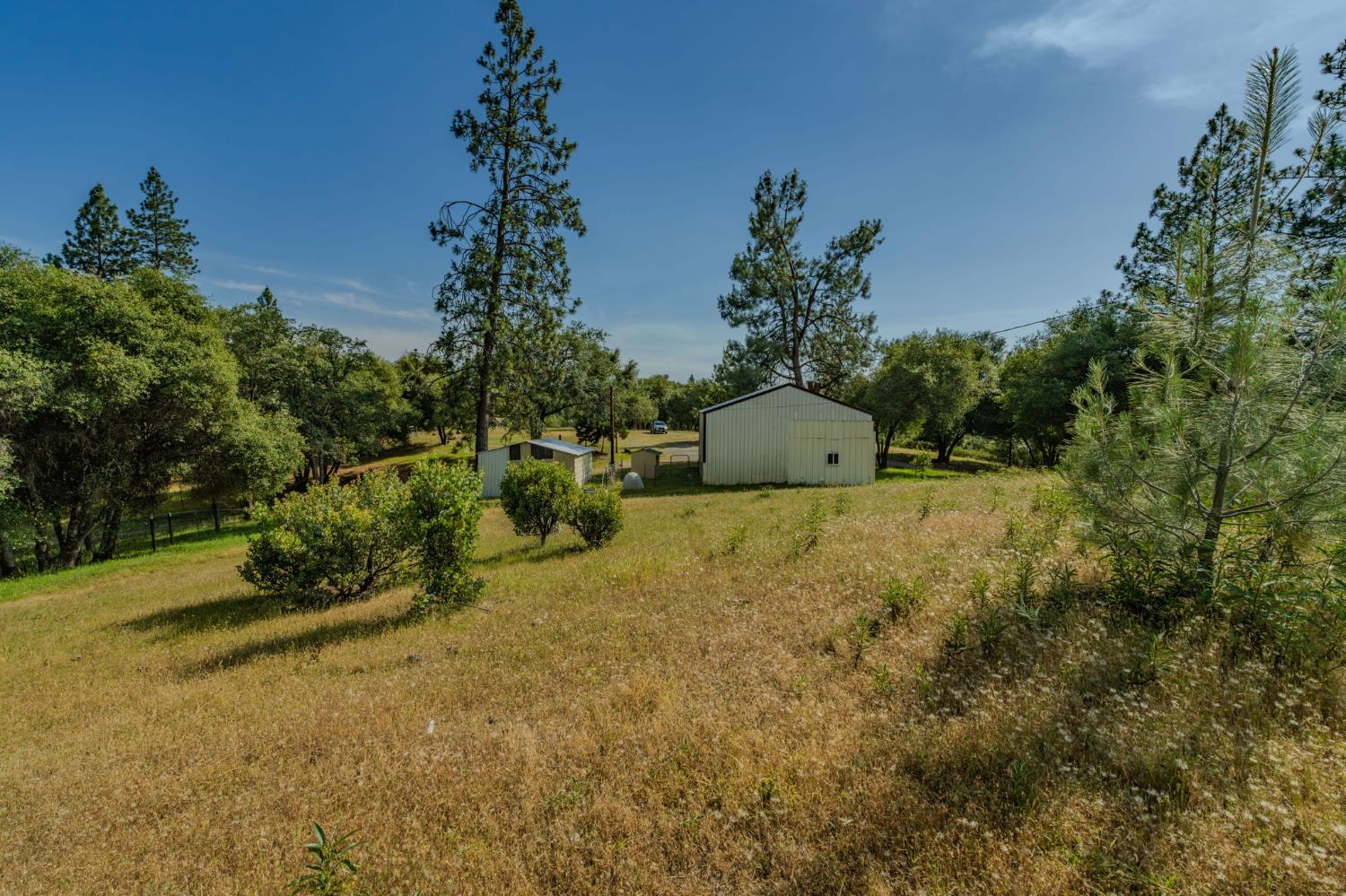 6216 Trout Lane Mountain Ranch, CA 95246 - Photo 16 of 39 a view of a outdoor space