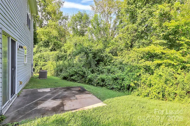 a view of a yard with plants and trees