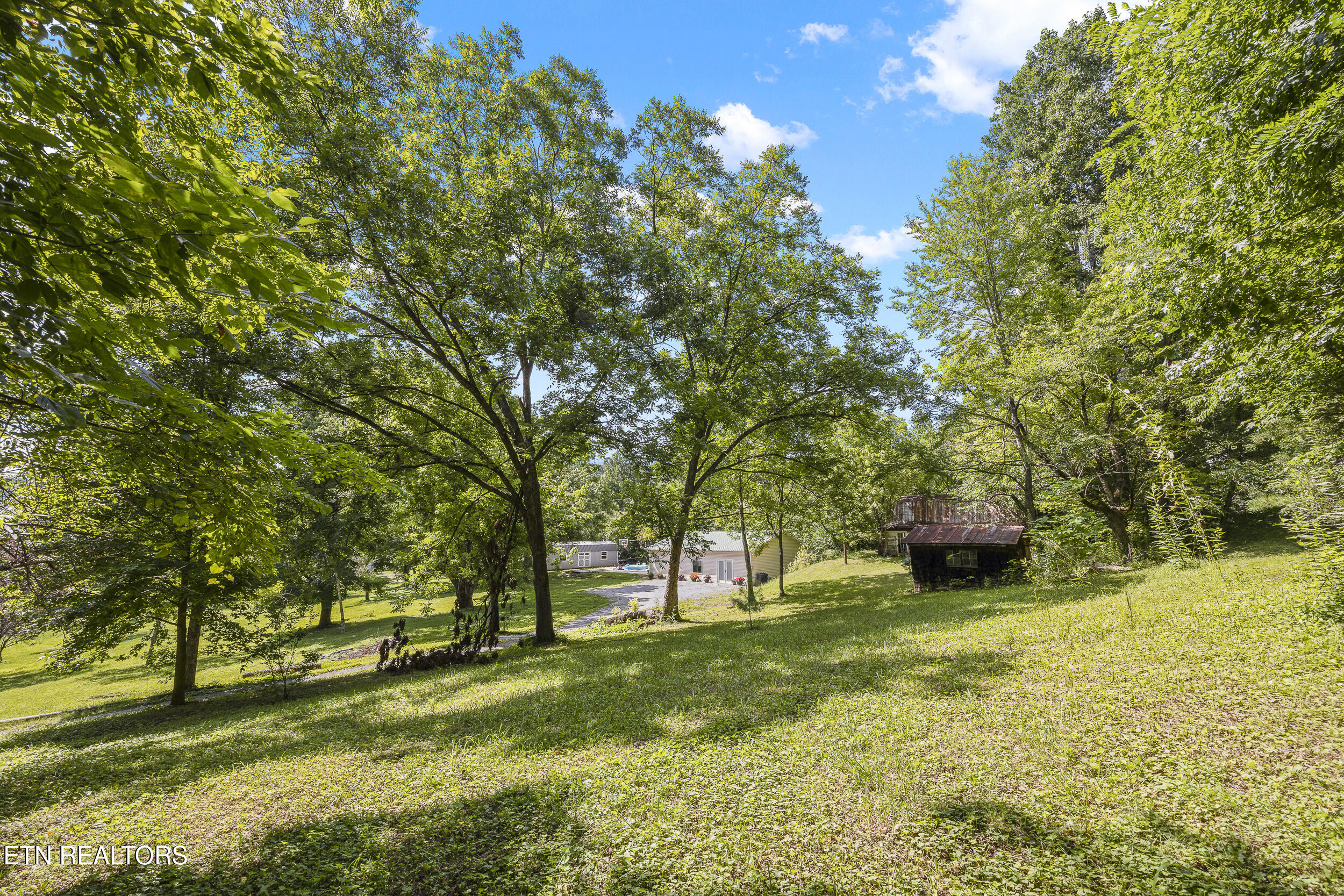 2019 Little Cove Road Sevierville, TN 37862 - Photo 17 of 50 006A8046