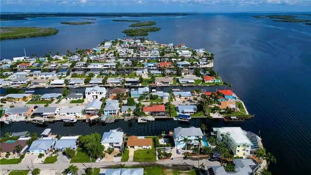 a area with lots of different kinds of flowers