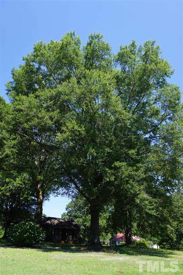 Tbd East Tbd E Stone Road Apex, NC 27523 - Photo 2 of 12