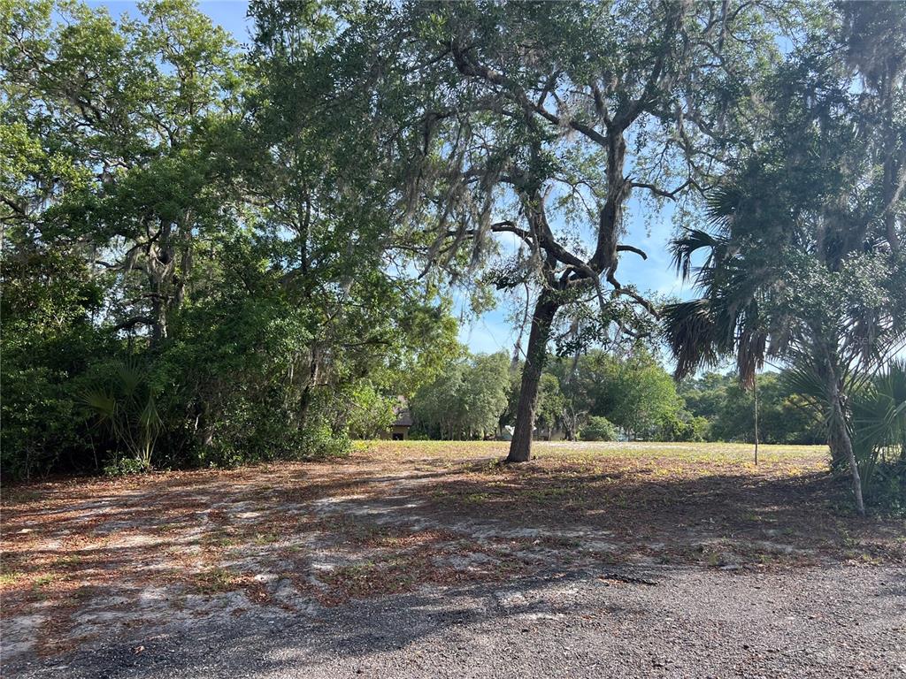 Ranchero Road DeLand, FL 32720 - Photo 1 of 10 Gallery Image 1
