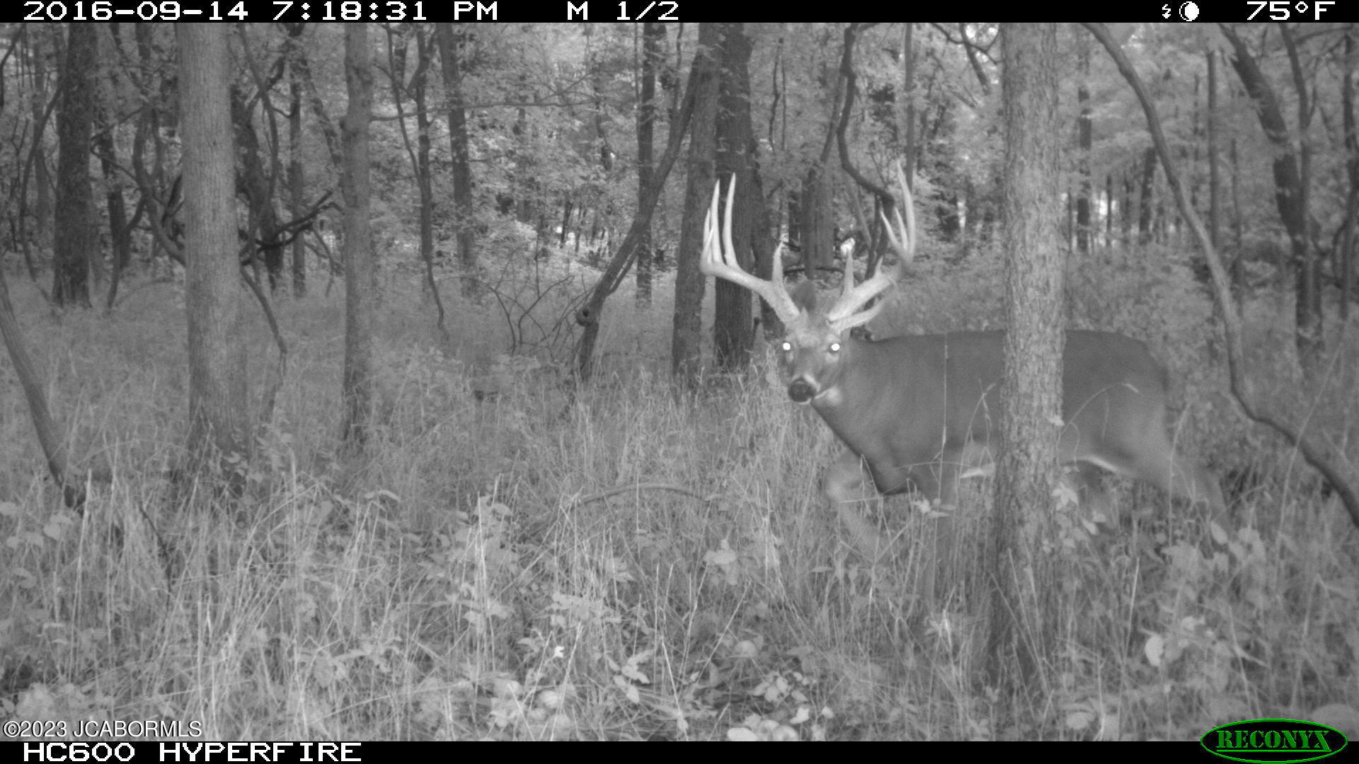 Tbd Big Lick Road Boonville, MO 65233 - Photo 42 of 59