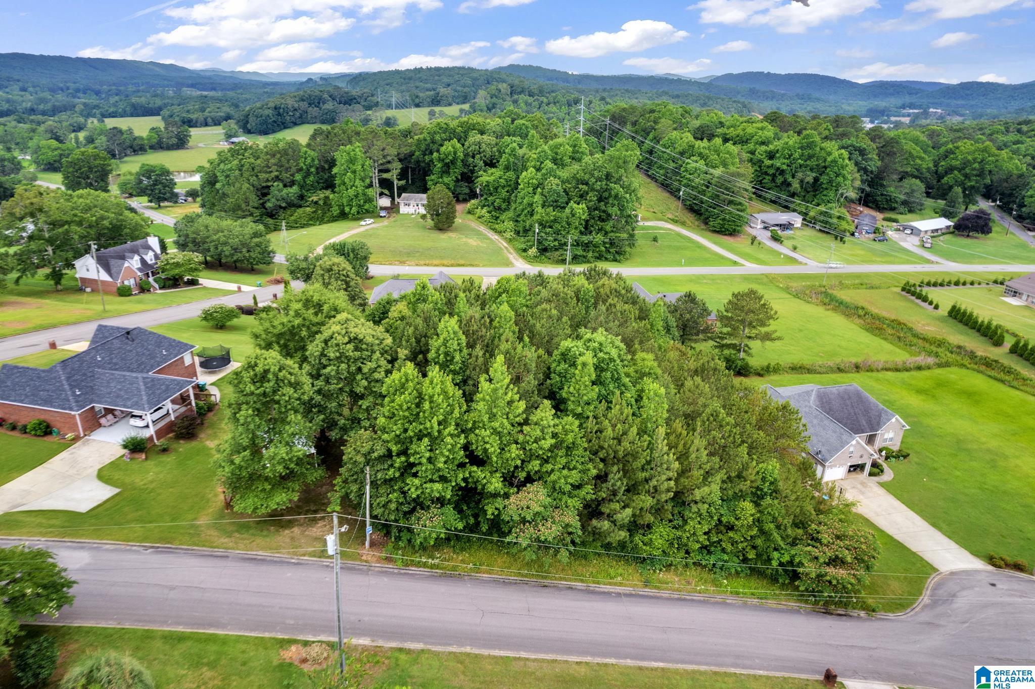 0 Valley View Lane, Unit 1 Oneonta, AL 35121 - Photo 1 of 13