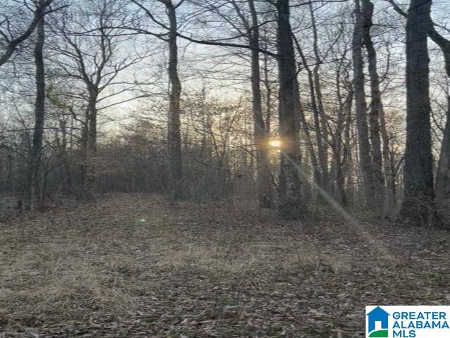 0 Highway 231, Unit 1 Vincent, AL 35178 - Photo 6 of 6