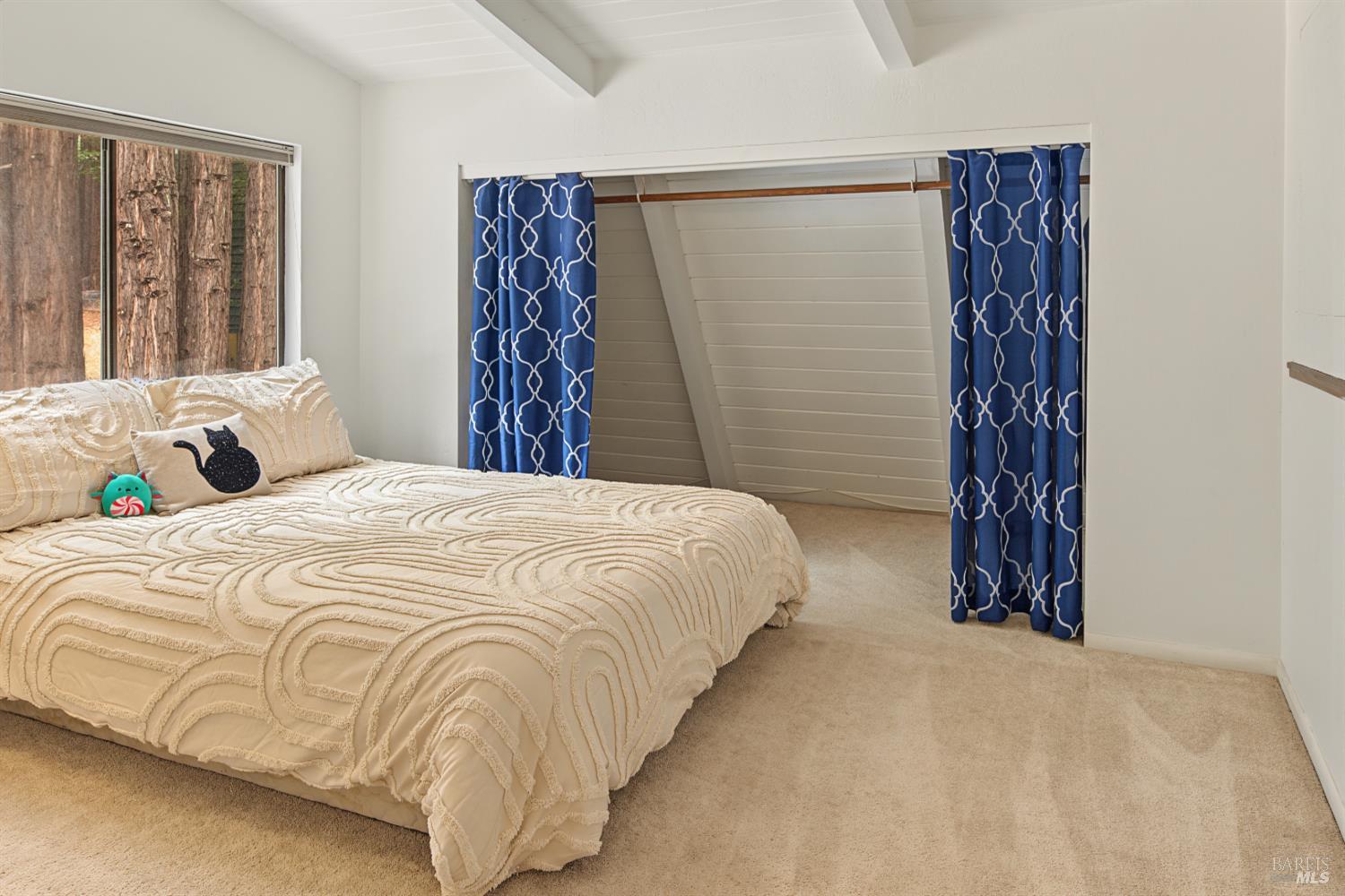 2411 Joy Road Occidental, CA 95465 - Photo 23 of 65 Upstairs bedroom with large closet