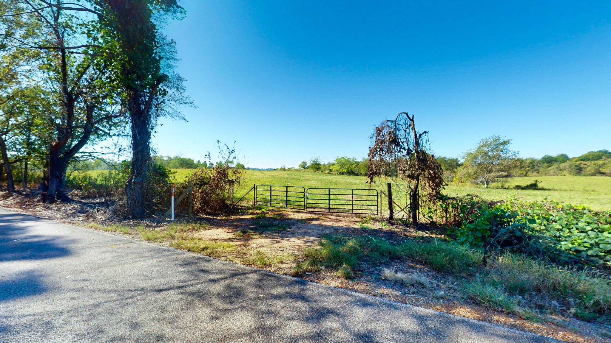0 Old Murray Paris Road Puryear, TN 38251 - Photo 11 of 18 a view of a road with a building in the background