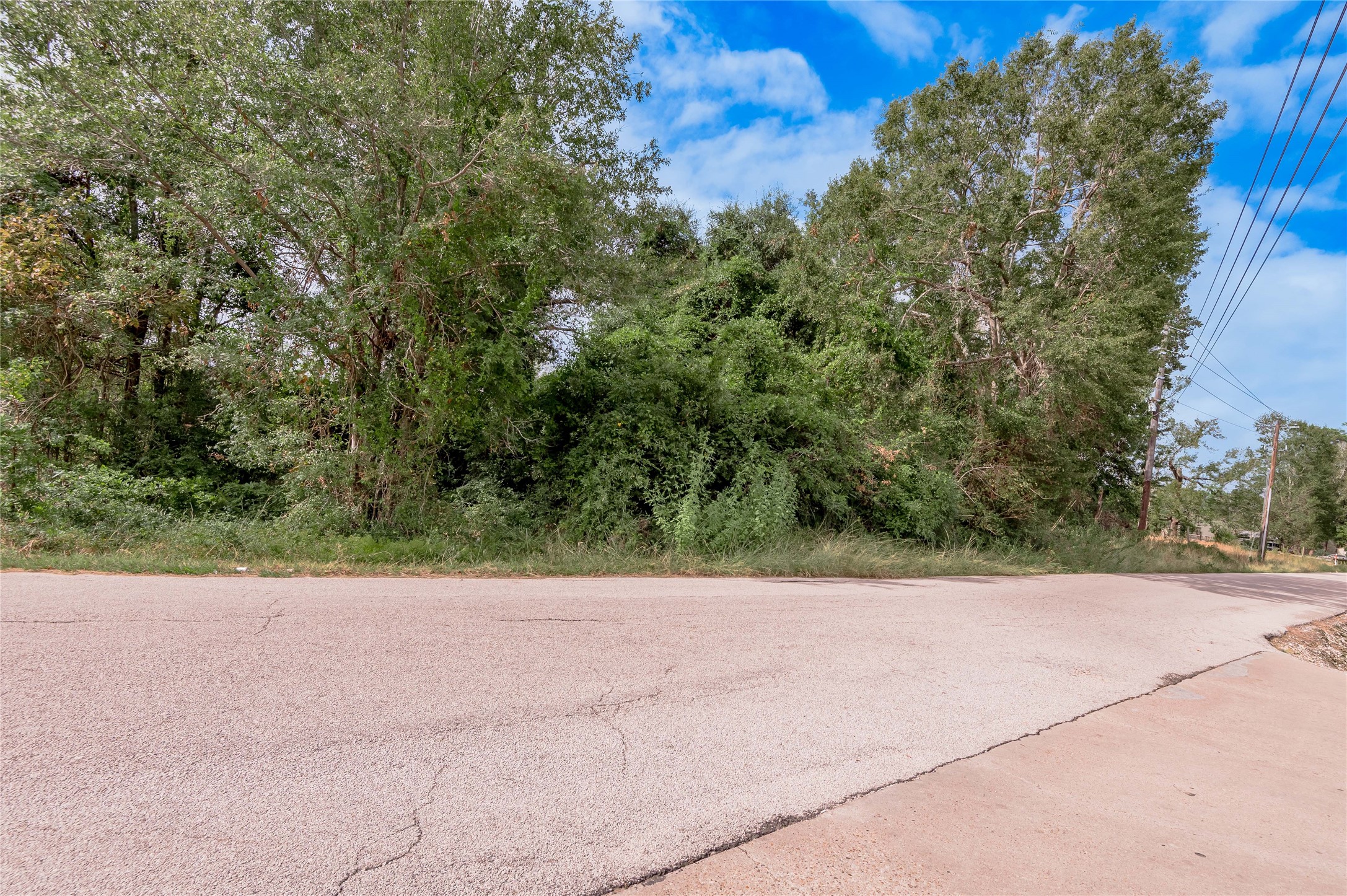 135 Old Trinity Road South Onalaska, TX 77360 - Photo 12 of 13