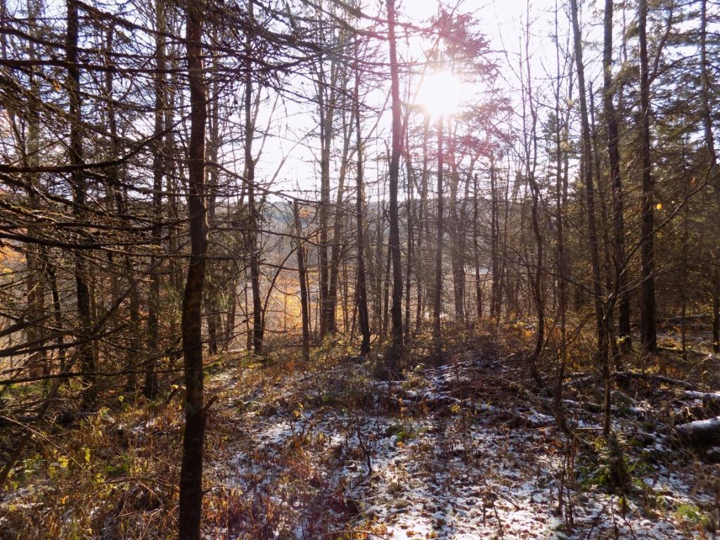 922 Page Brook Road Whitney Point, NY 13862 - Photo 2 of 8
