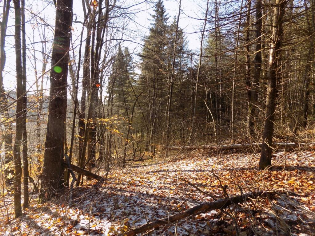 922 Page Brook Road Whitney Point, NY 13862 - Photo 3 of 8