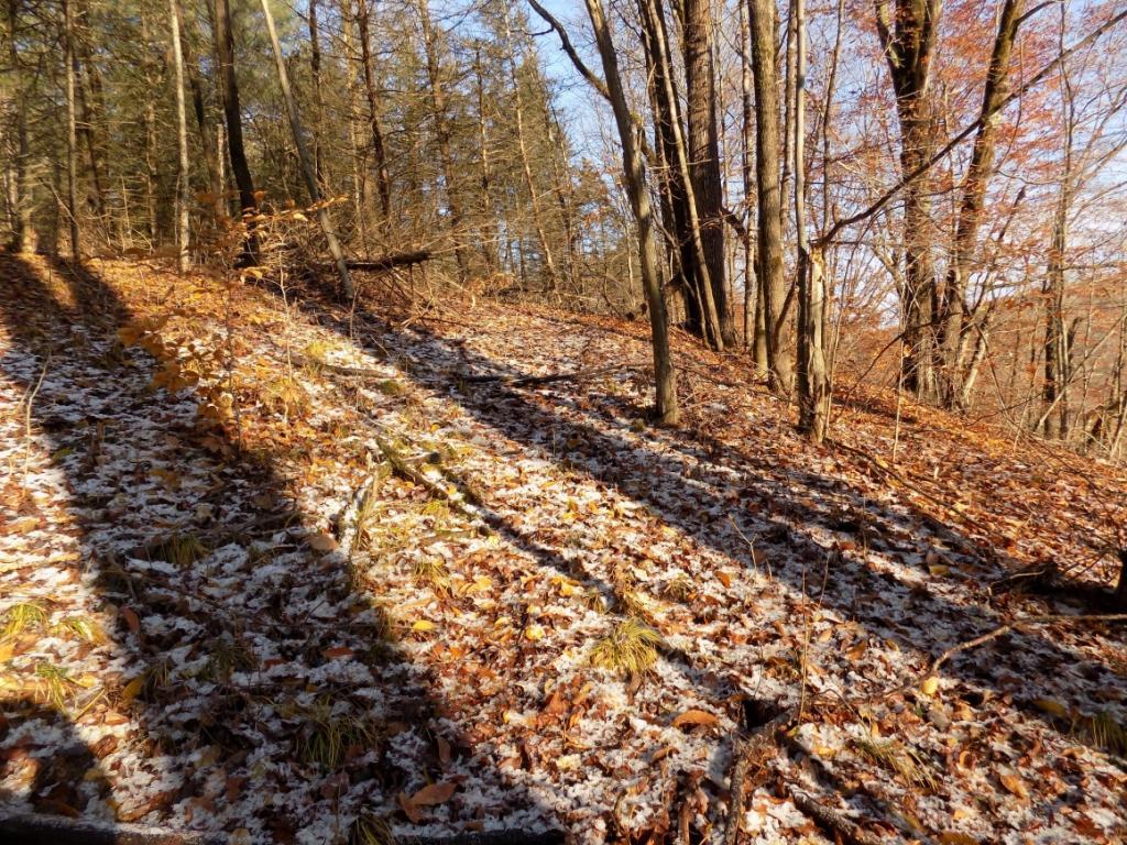 922 Page Brook Road Whitney Point, NY 13862 - Photo 7 of 8