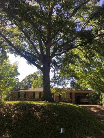 6 Alexander Road Natchez, MS 39120 - Photo 2 of 17 Photo 2