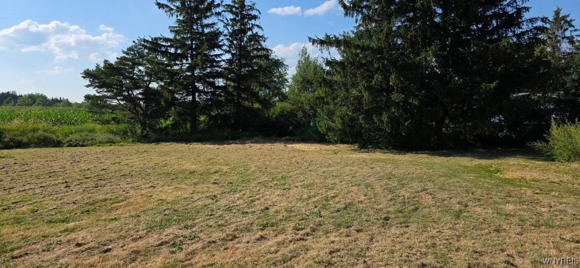 2780 Orangeville Center Road Orangeville, NY 14569 - Photo 21 of 49