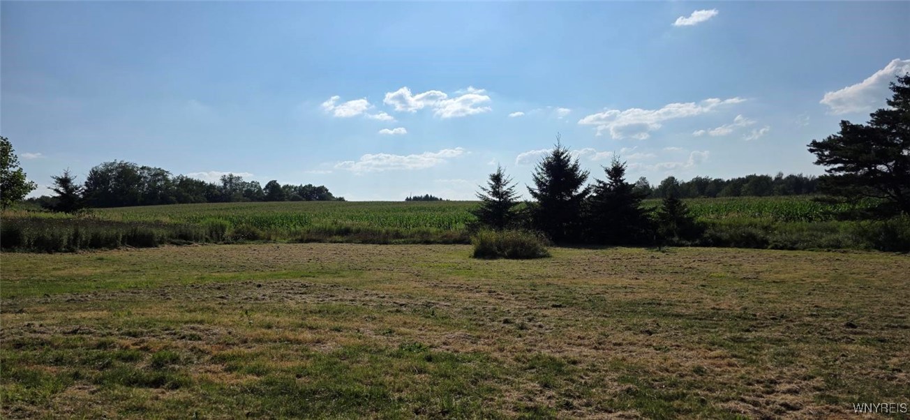 2780 Orangeville Center Road Orangeville, NY 14569 - Photo 23 of 49