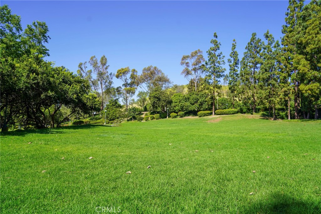 17 Rippling Streme Irvine, CA 92603 - Photo 53 of 54 HOA Park