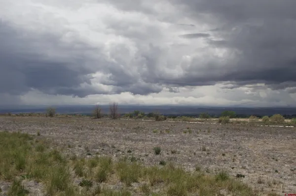 a view of a dry yard with wooden fence