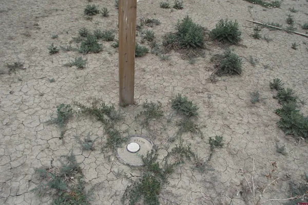a view of a dry yard