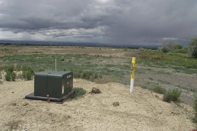 a view of a dry yard with trees