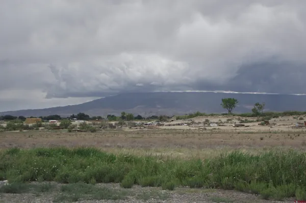 a view of a field with trees in background