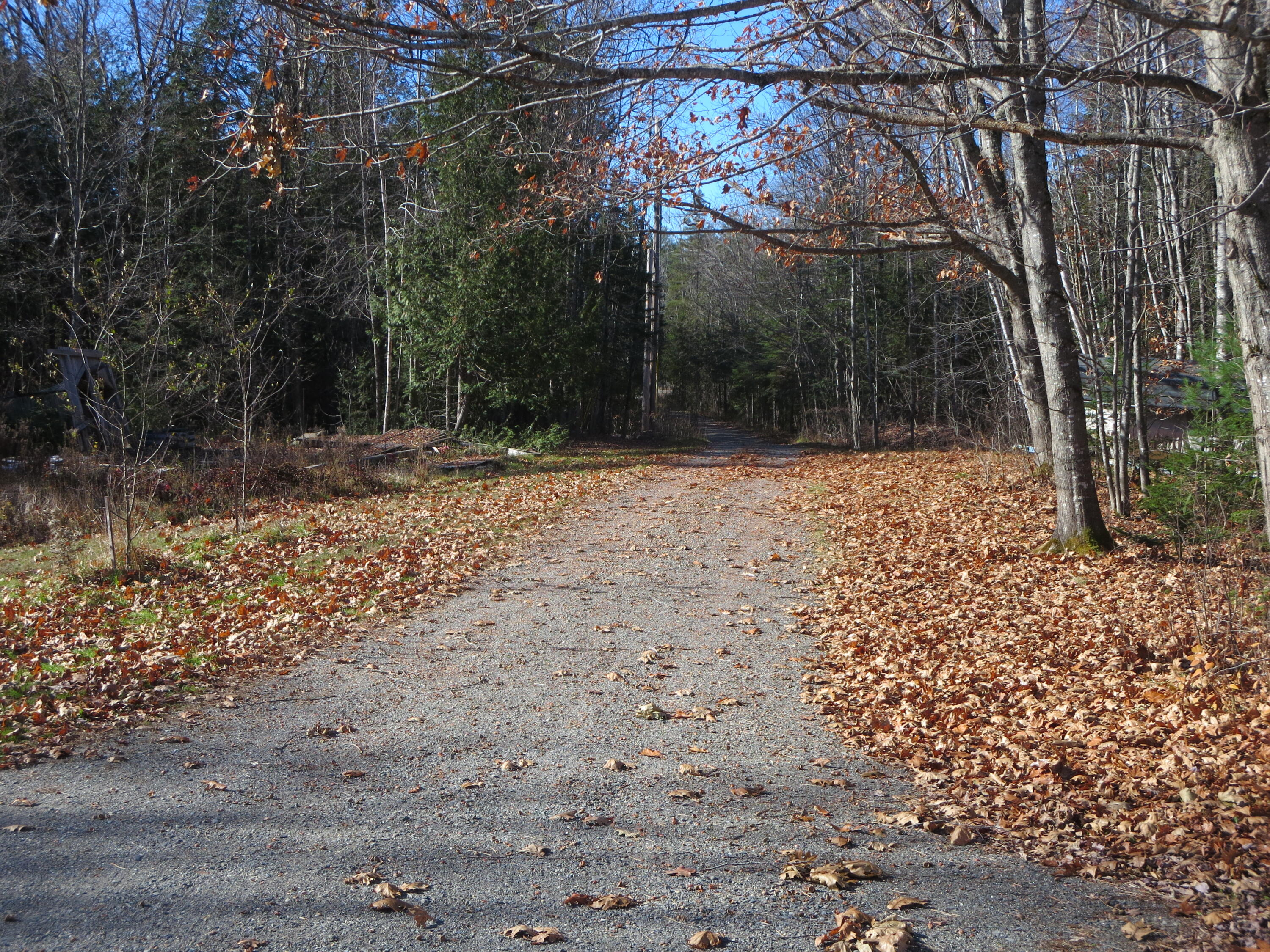 1756 Dexter Road Dover-Foxcroft, ME 04426 - Photo 61 of 70 IMG_0972