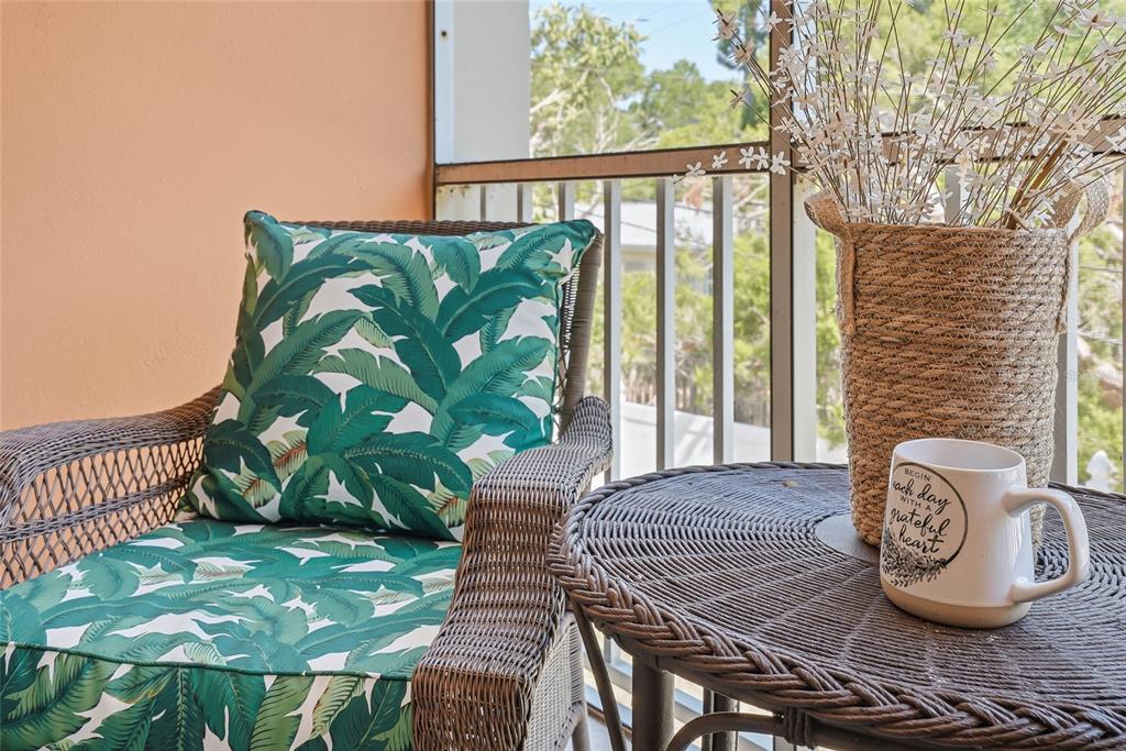952 Virginia Street, Unit 202 Dunedin, FL 34698 - Photo 29 of 52