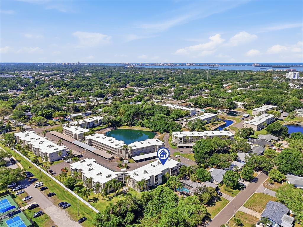 952 Virginia Street, Unit 202 Dunedin, FL 34698 - Photo 47 of 52