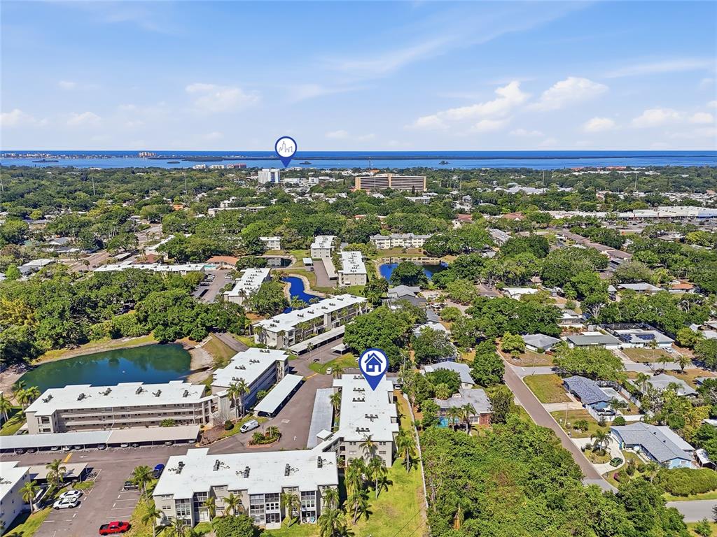 952 Virginia Street, Unit 202 Dunedin, FL 34698 - Photo 48 of 52