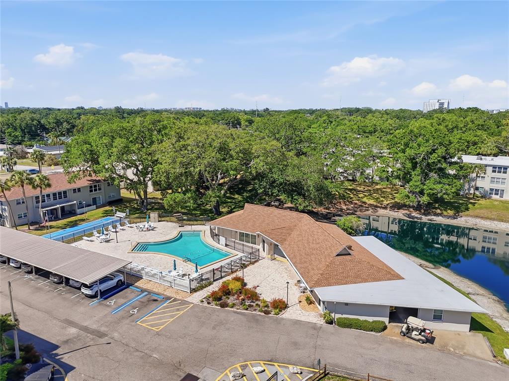 952 Virginia Street, Unit 202 Dunedin, FL 34698 - Photo 50 of 52