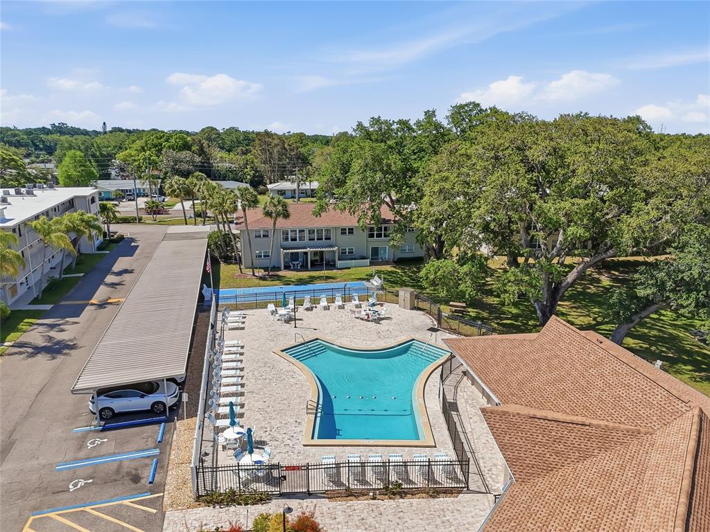 952 Virginia Street, Unit 202 Dunedin, FL 34698 - Photo 51 of 52