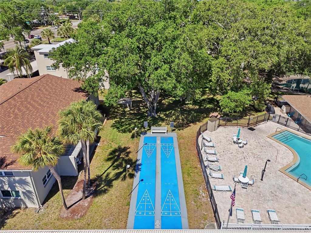952 Virginia Street, Unit 202 Dunedin, FL 34698 - Photo 52 of 52