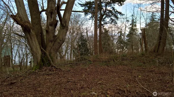 $35,000 | 50 K Beach Way, Hat Island, WA 98201