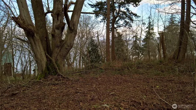 $35,000 | 50 K Beach Way, Hat Island, WA 98201