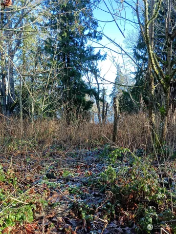 $35,000 | 50 K Beach Way, Hat Island, WA 98201