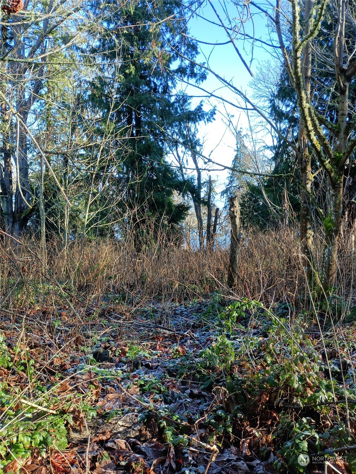 50 K Beach Way Hat Island, WA 98201 - Photo 2 of 3