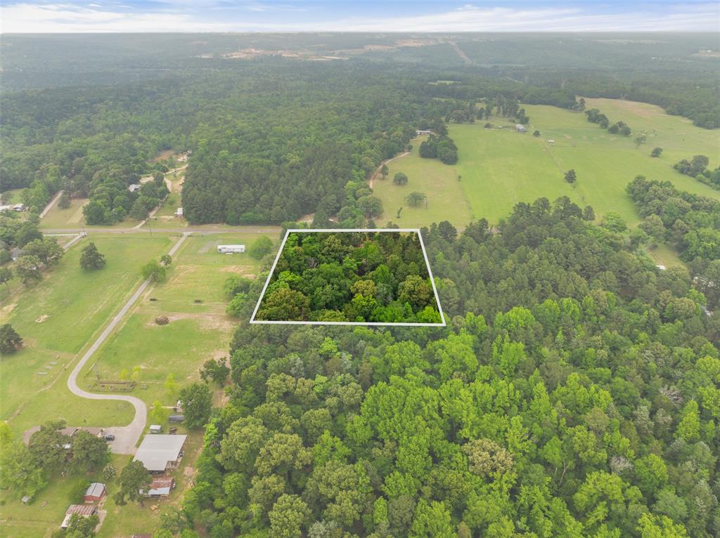 7398 County Road 334 Tyler, TX 75708 - Photo 11 of 39