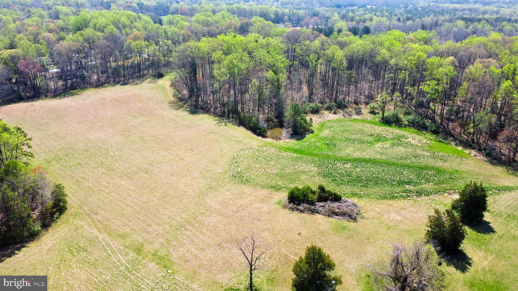 18 Joshua Road Stafford, VA 22556 - Photo 4 of 15