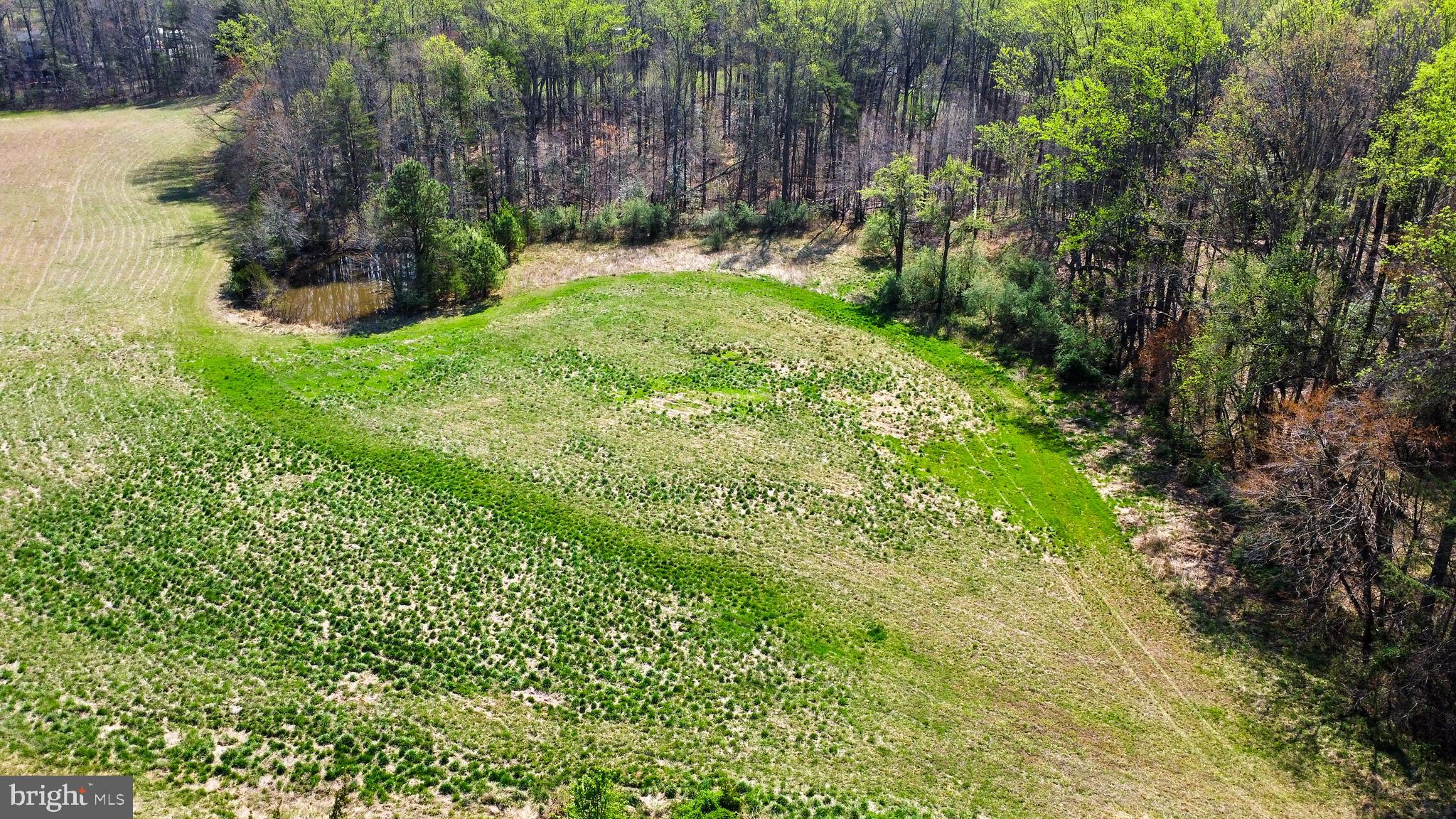 18 Joshua Road Stafford, VA 22556 - Photo 6 of 15