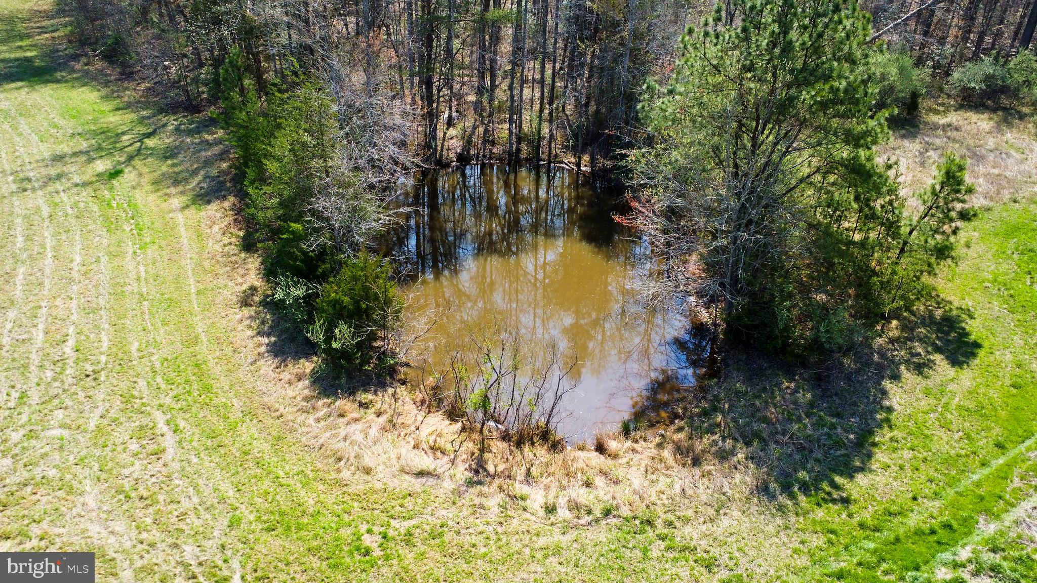 18 Joshua Road Stafford, VA 22556 - Photo 7 of 15