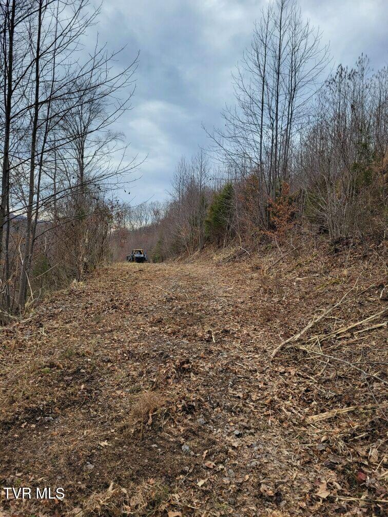 Tbd Hurricane Road Jonesville, VA 24263 - Photo 3 of 11 ENJOY THE RIDE