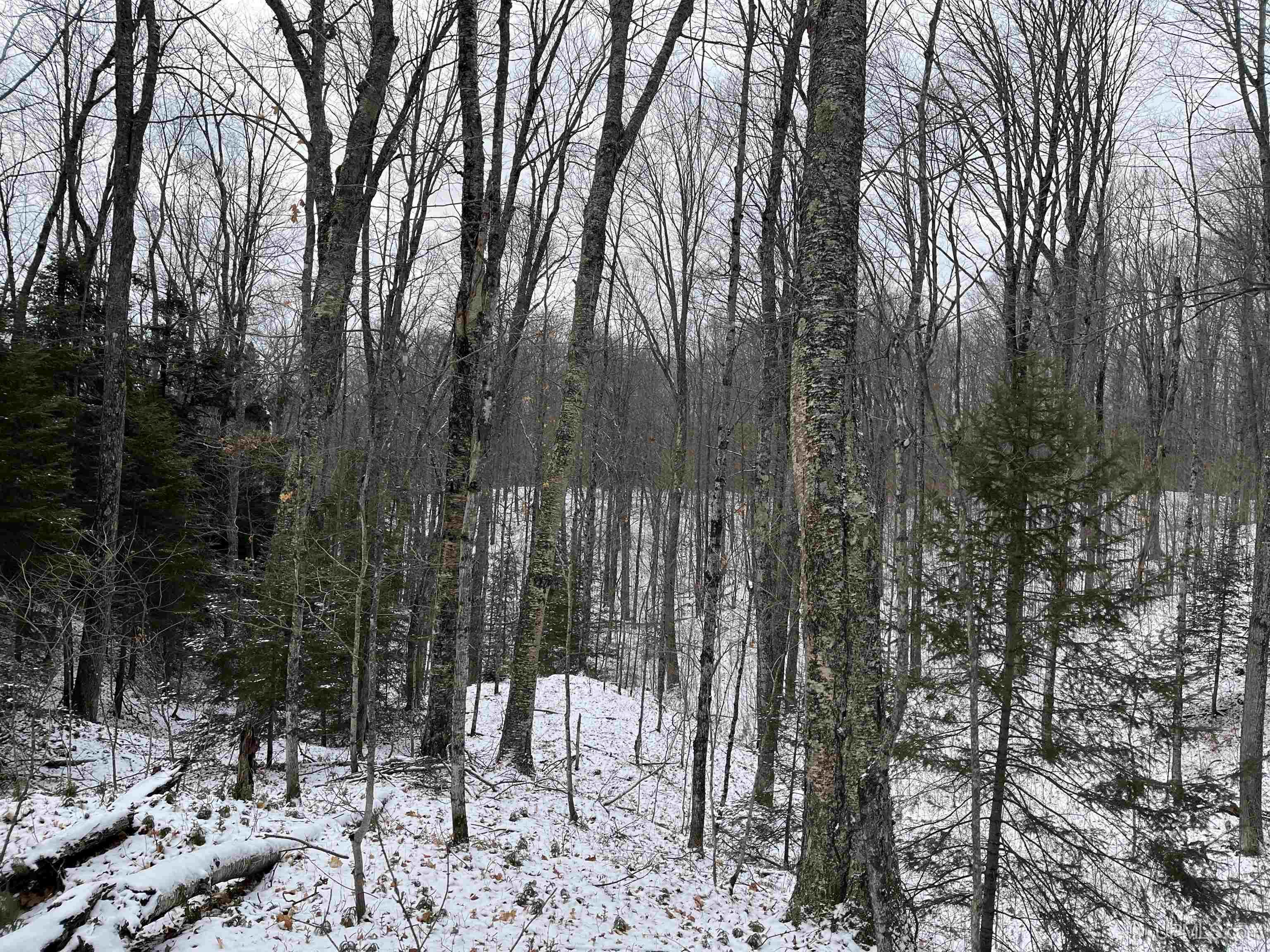 545 South Rd Skandia Mi 49885 Road Skandia, MI 49885 - Photo 36 of 38