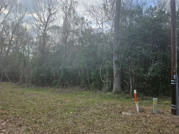 a flag is sitting in the middle of forest