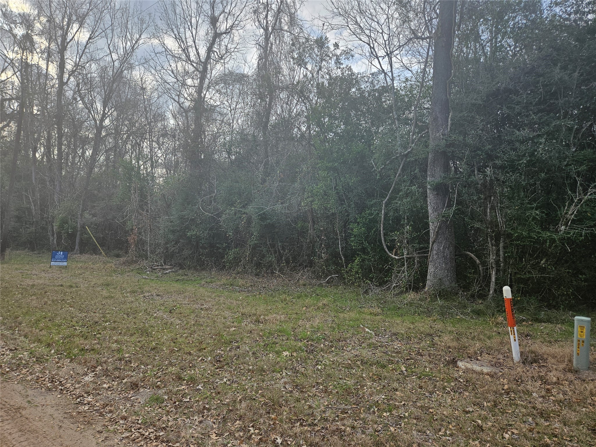 0 Winding Creek Road Shepherd, TX 77371 - Photo 2 of 5 a view of a forest with trees